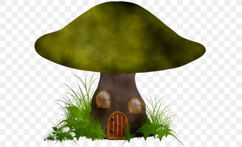 Mushroom, PNG, 600x501px, Mushroom, Bolete, Fungus, Grass, Moss Download Free