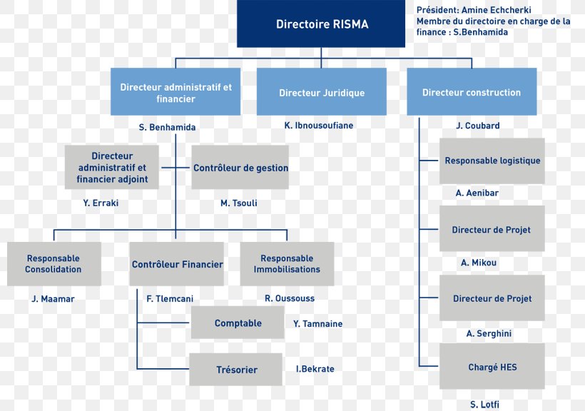 Organizational Chart Supervisory Board Vorstand Shareholder, PNG, 800x576px, Organizational Chart, Afacere, Area, Audit, Brand Download Free