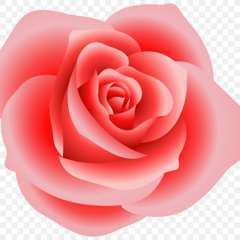 Rose Pink Clip Art, PNG, 1280x1280px, Rose, Bush Roses, China Rose, Close Up, Cut Flowers Download Free