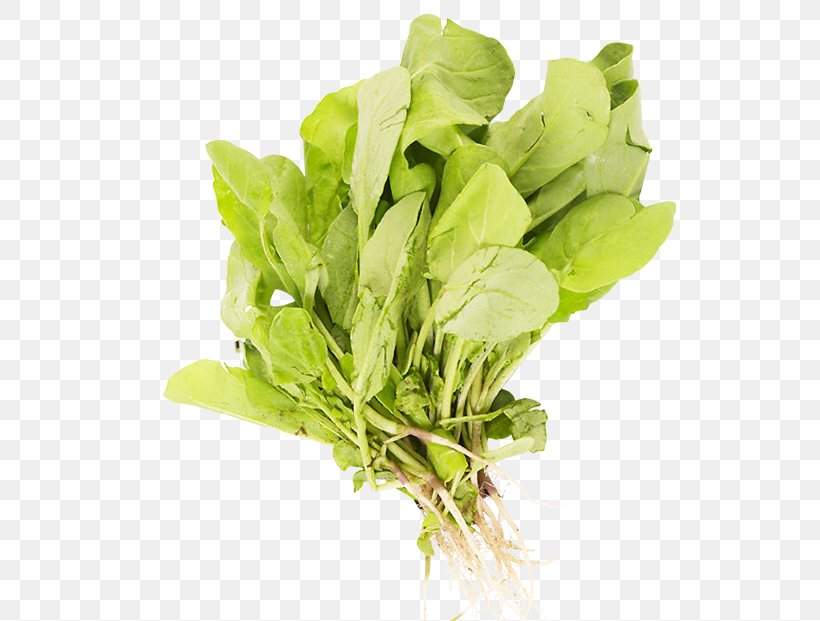 Spinach Stuffing Leaf Vegetable Herb, PNG, 533x621px, Spinach, Brassica Juncea, Broccoli, Cauliflower, Choy Sum Download Free