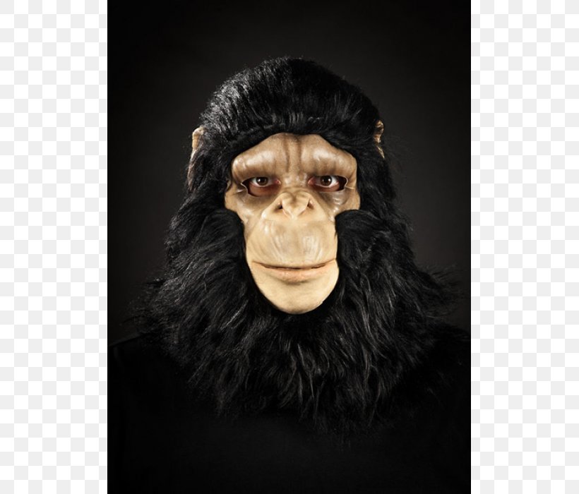 Common Chimpanzee Gorilla Monkey Mask Snout, PNG, 700x700px, Common Chimpanzee, Chimpanzee, Fur, Gorilla, Great Ape Download Free