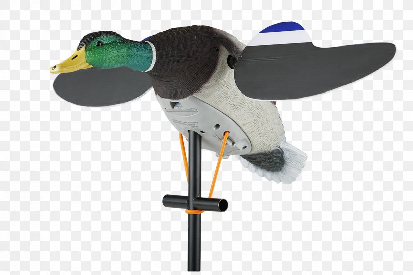 Duck Decoy Mallard Duck Decoy Goose, PNG, 1250x834px, Duck, Beak, Bird, Canada Goose, Coupon Download Free