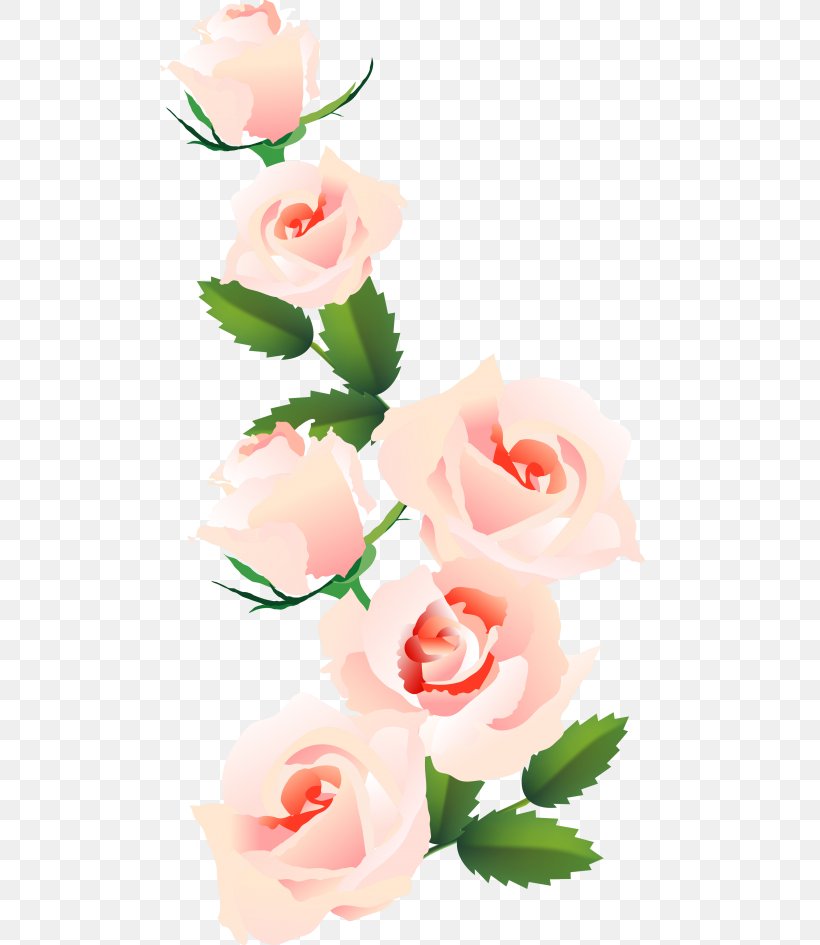 Garden Roses Cabbage Rose Floral Design Cut Flowers, PNG, 500x945px, Garden Roses, Beauty, Cabbage Rose, Computer, Cut Flowers Download Free