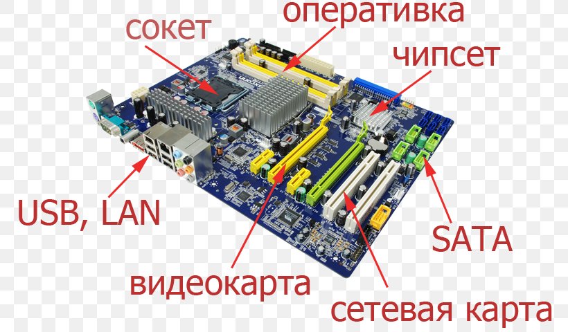 Graphics Cards & Video Adapters Computer Cases & Housings Motherboard Printed Circuit Boards, PNG, 800x480px, Graphics Cards Video Adapters, Atx, Bios, Central Processing Unit, Computer Download Free