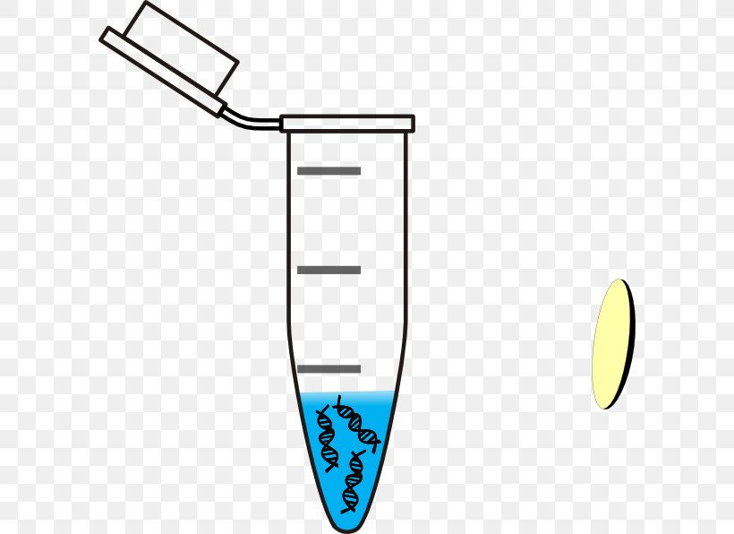 Laboratory Centrifuge DNA Eppendorf Test Tubes Clip Art, PNG, 600x596px, Laboratory Centrifuge, Area, Centrifuge, Dna, Epje Download Free