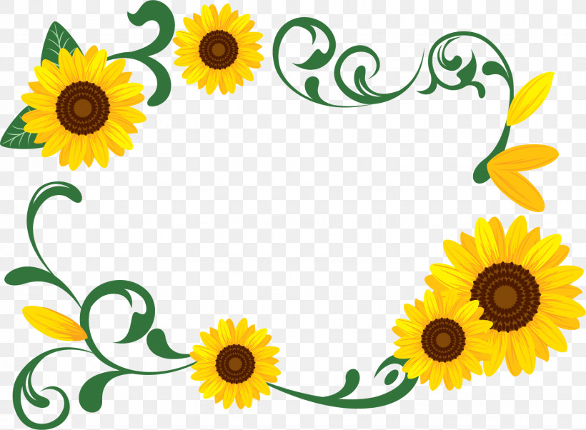 Sunflower Rectangular Frame Rectangular Frame Floral Frame, PNG, 1531x1124px, Sunflower Rectangular Frame, Floral Frame, Flower, Picture Frame, Plant Download Free