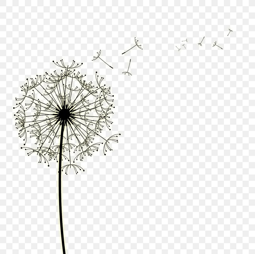 Clip Art Image Vector Graphics Free Content, PNG, 803x815px, Common Dandelion, Black And White, Branch, Dandelion, Drawing Download Free