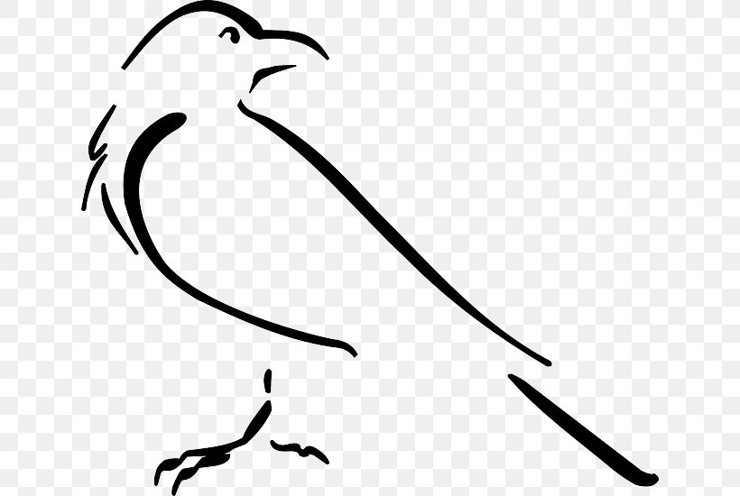 Crow Line Art Drawing Clip Art, PNG, 640x550px, Crow, Art, Artwork, Beak, Bird Download Free