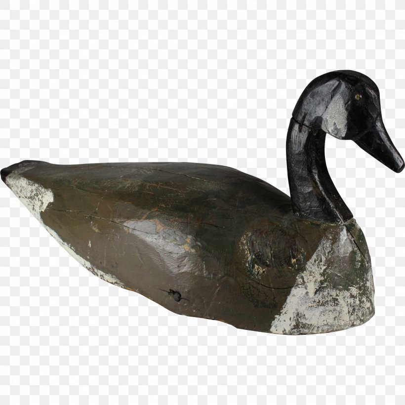 Duck Goose Water Bird Anatidae, PNG, 1842x1842px, Duck, Anatidae, Beak, Bird, Cygnini Download Free