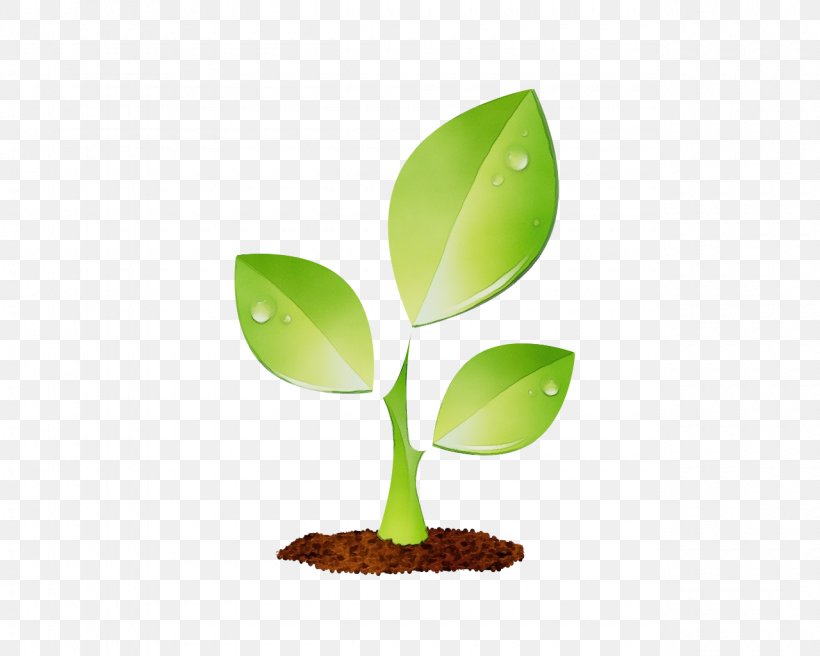 Flower Tree, PNG, 1280x1024px, Leaf, Flower, Flowerpot, Houseplant, Plant Download Free