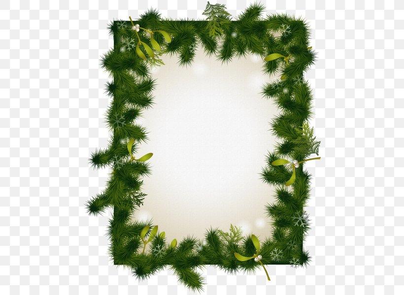 Picture Frames New Year Christmas Photography, PNG, 482x600px, Picture Frames, Biome, Branch, Cdr, Christmas Download Free