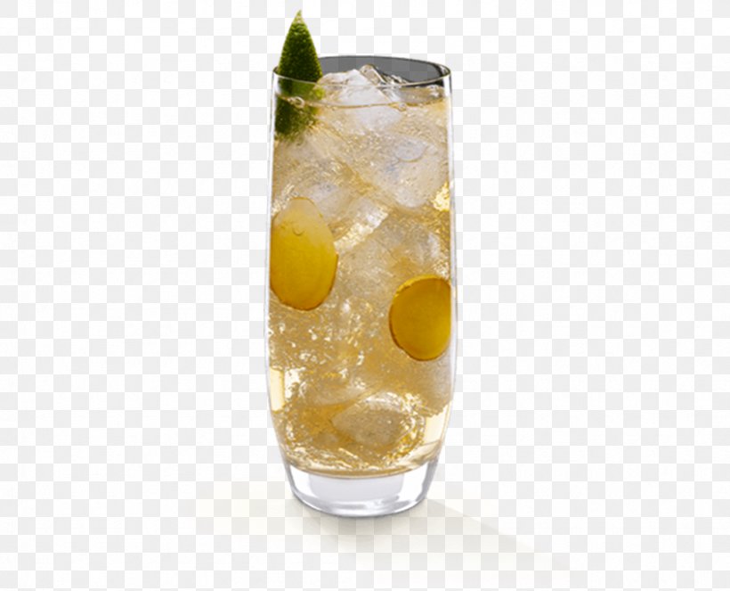 Cocktail Vodka Tonic Sea Breeze Caipirinha, PNG, 845x684px, Cocktail, Alcoholic Drink, Caipirinha, Cocktail Garnish, Cymbopogon Citratus Download Free