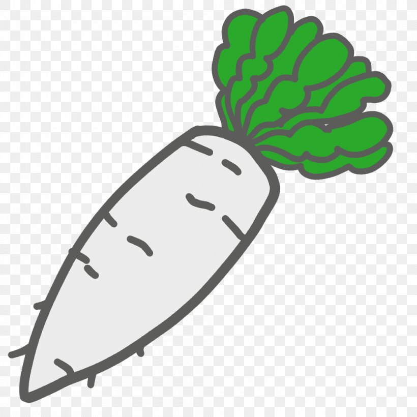 Daikon Illustration Vegetable Produce Clip Art, PNG, 1000x1000px, Daikon, Area, Cabbage, Carrot, Green Download Free