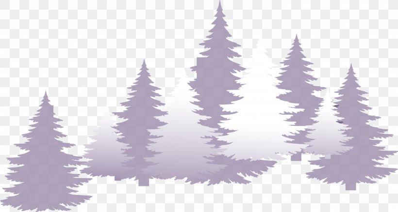 Download Icon, PNG, 3001x1604px, Google Images, Christmas Tree, Conifer, Fir, Pine Download Free