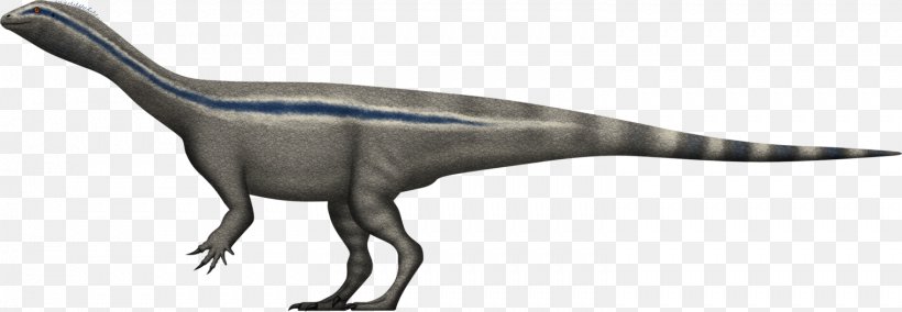 Riojasaurus Massospondylus Zupaysaurus Aardonyx Velociraptor, PNG, 1517x527px, Riojasaurus, Aardonyx, Animal Figure, Beak, Dinosaur Download Free