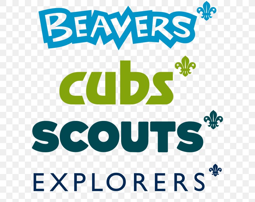 Beavers Beaver Scouts Scout Group The Scout Association, PNG, 650x650px, Beaver, Area, Beaver Scouts, Beavers, Brand Download Free