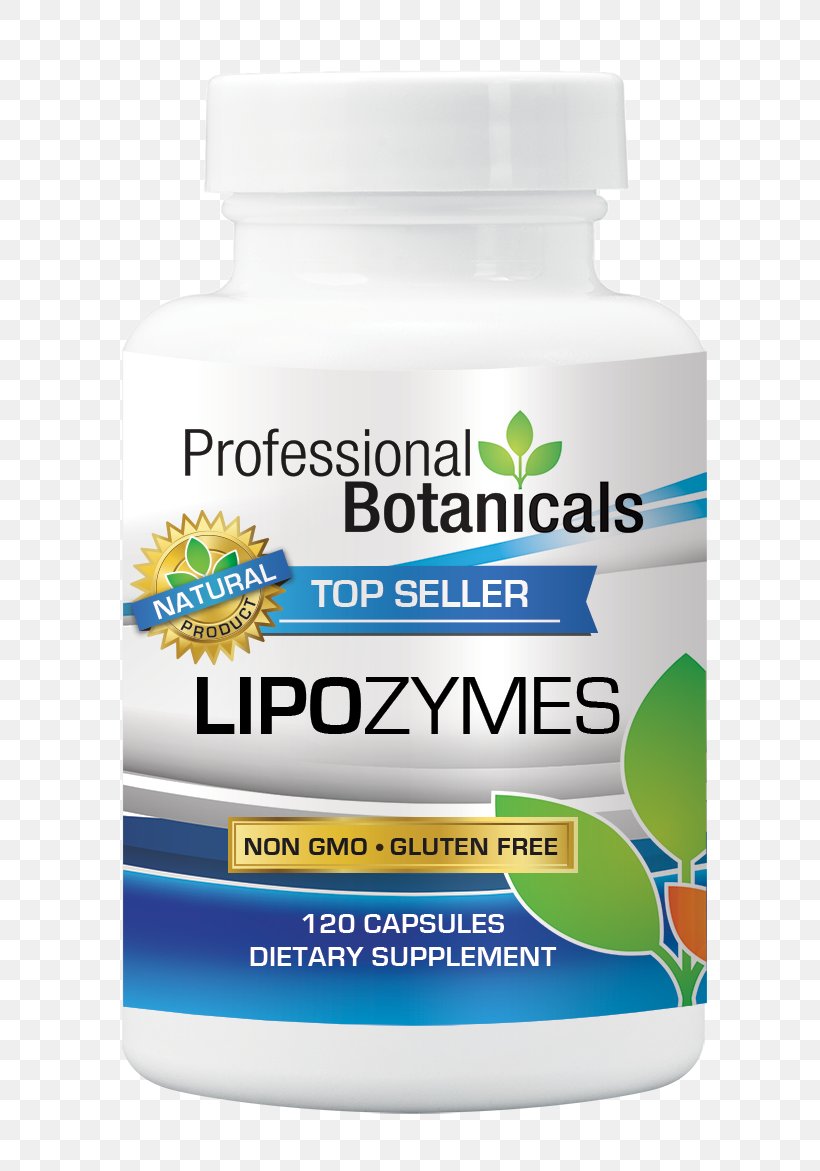 Dietary Supplement Service Professional Botanicals Liver, PNG, 800x1171px, Dietary Supplement, Candidiasis, Detoxification, Diet, Enzyme Download Free