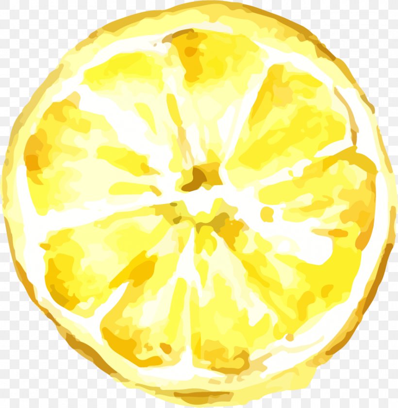 Lemon Drawing Icon, PNG, 884x906px, Lemon, Cartoon, Citron, Citrus, Drawing  Download Free