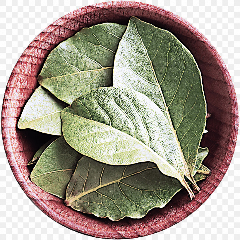 Parsley, PNG, 1068x1068px, Leaf, Autumn Leaf Color, Cabbage, Fruit Vegetable, Leaf Vegetable Download Free