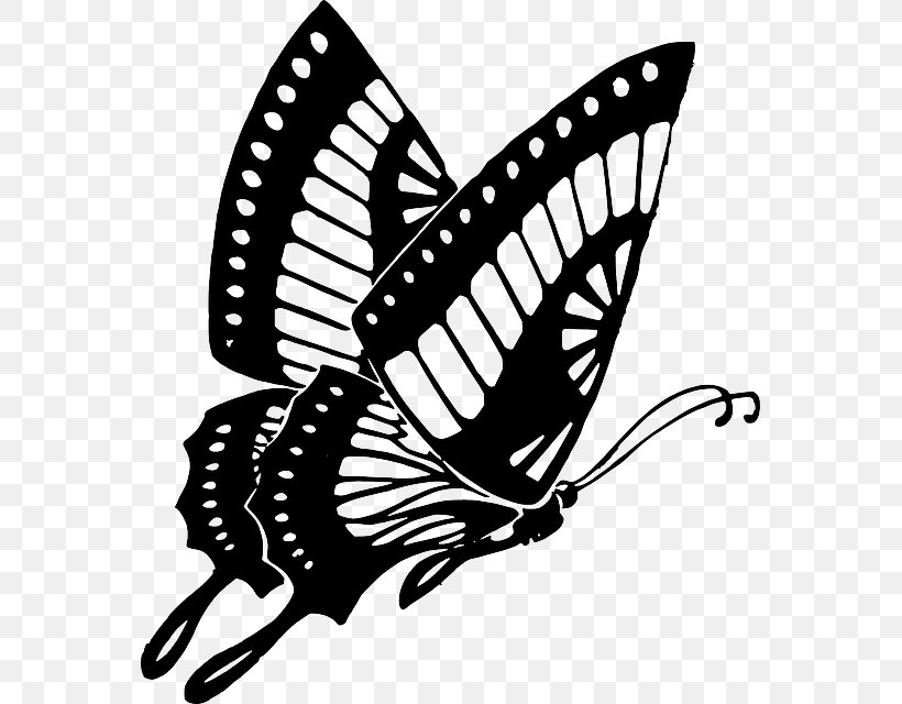 Butterfly Drawing Clip Art, PNG, 563x640px, Butterfly, Arthropod, Black And White, Black Butterfly, Brush Footed Butterfly Download Free