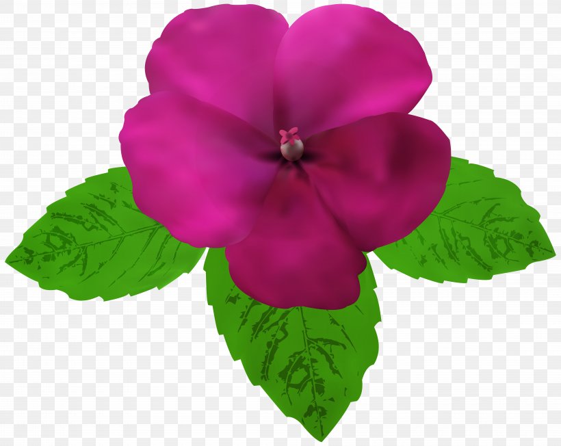 Clip Art, PNG, 8000x6365px, Magenta, Annual Plant, Cartoon, Flower, Flowering Plant Download Free