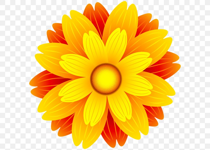Flower Orange Blossom Clip Art, PNG, 600x585px, Flower, Chrysanths, Color, Cut Flowers, Dahlia Download Free
