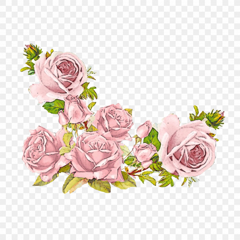 Garden Roses, PNG, 2896x2896px, Pink, Cut Flowers, Flower, Garden Roses, Plant Download Free