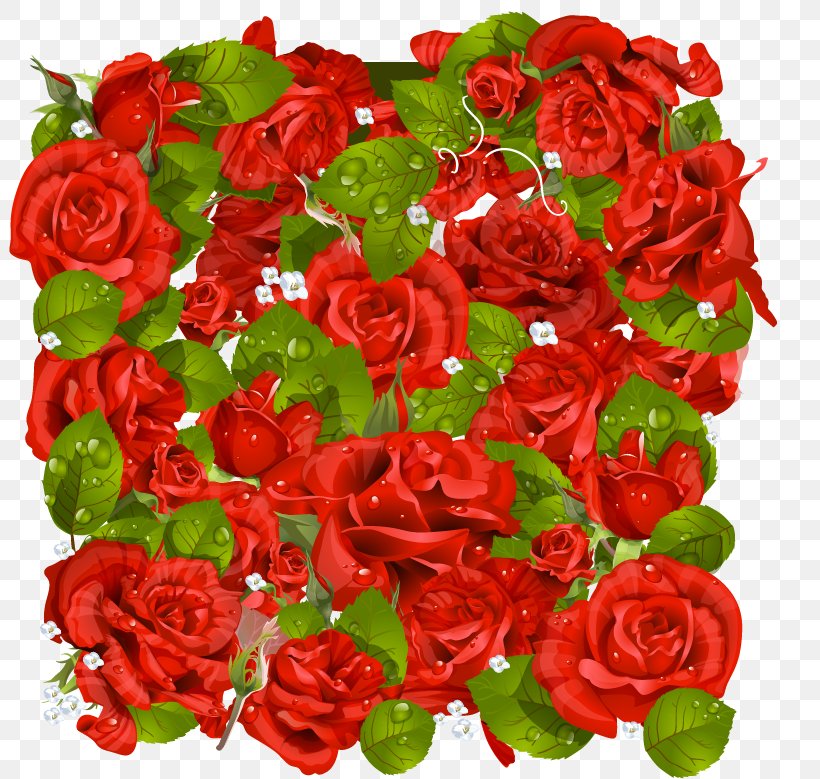 Garden Roses Picture Frames Clip Art, PNG, 801x779px, Garden Roses, Annual Plant, Artificial Flower, Centifolia Roses, Comparazione Di File Grafici Download Free
