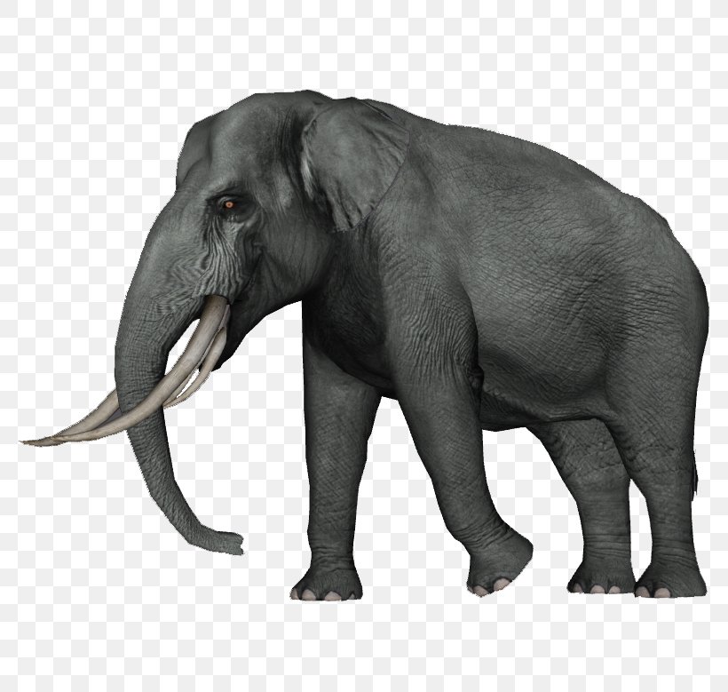 Asian Elephant Zoo Tycoon 2 Dwarf Elephant Straight-tusked Elephant