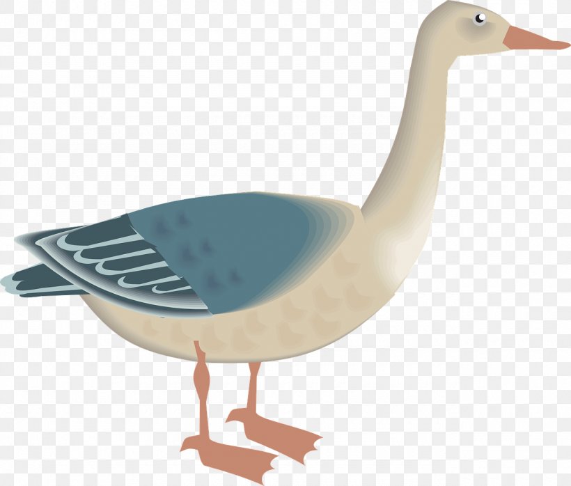 Goose Ganso Clip Art, PNG, 1280x1090px, Goose, Beak, Bird, Duck, Ducks Geese And Swans Download Free