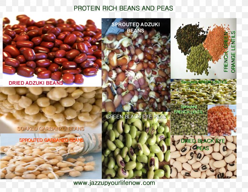 Vegetarian Cuisine Vegetable Organic Food Adzuki Bean, PNG, 1600x1237px, Vegetarian Cuisine, Adzuki Bean, Asian Cuisine, Bean, Commodity Download Free
