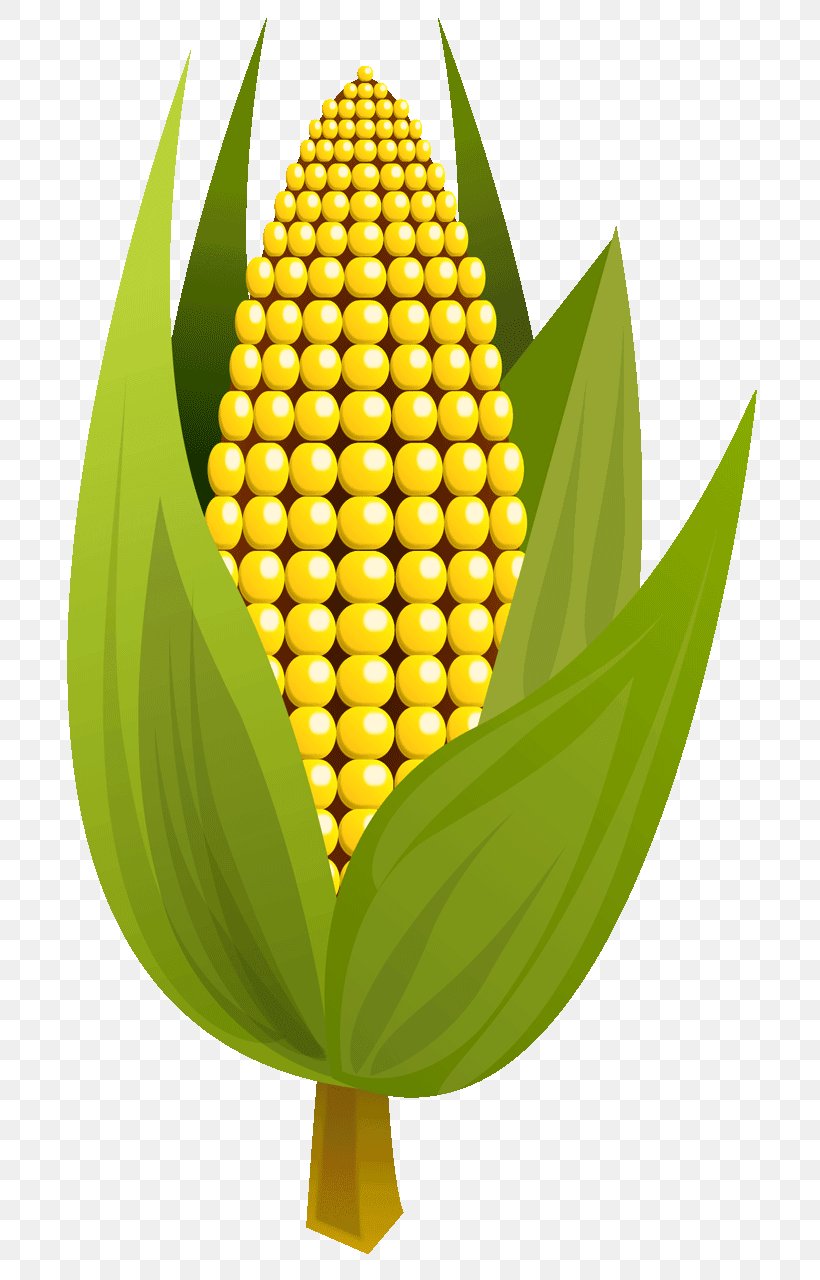Corn On The Cob Maize Corncob Clip Art, PNG, 720x1280px, Corn On The Cob, Commodity, Corncob, Ear, Field Corn Download Free