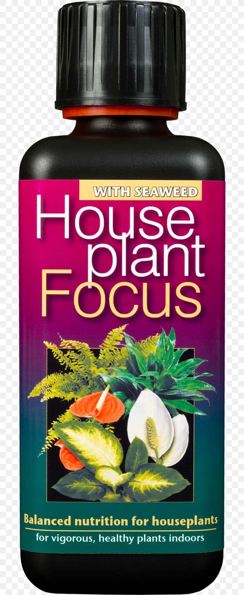 Houseplant Fertilisers Bonsai Nutrient Growth Technology Ltd Palm Focus Concentrated Liquid Fertiliser, PNG, 696x2000px, Houseplant, Baby Bio, Bonsai, Fertilisers, Flowerpot Download Free