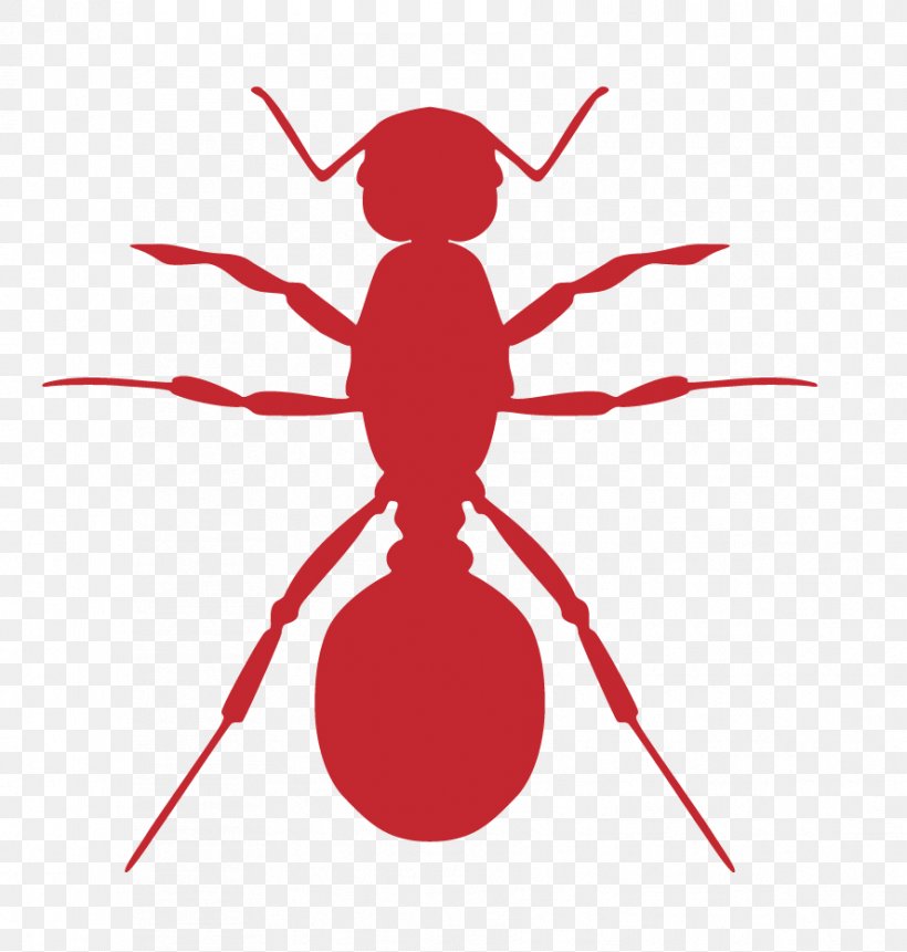 Insect Ant Cockroach Pest Clip Art, PNG, 888x933px, Insect, Ant, Arthropod, Cockroach, Fictional Character Download Free