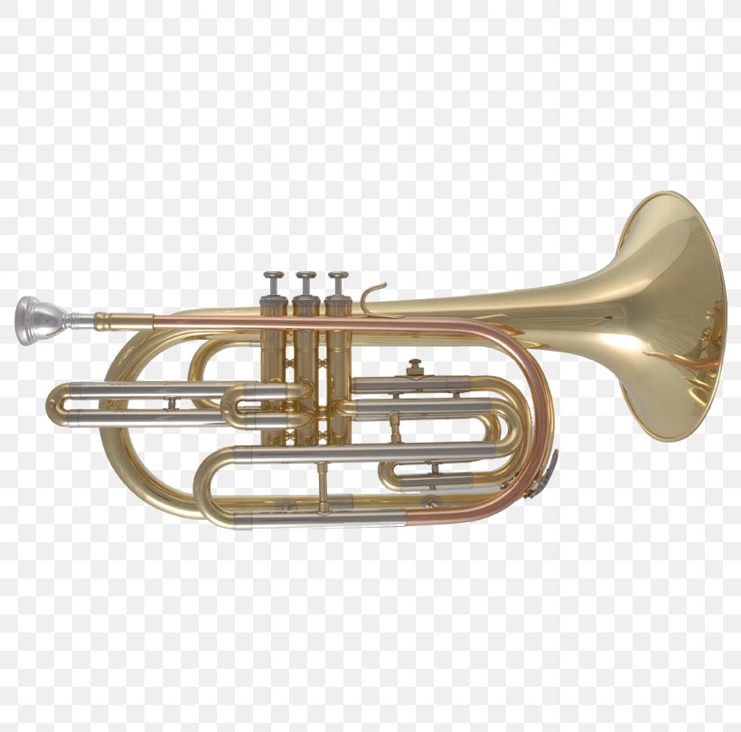 Cornet Trumpet Tenor Horn Mellophone Saxhorn, PNG, 810x810px, Watercolor, Cartoon, Flower, Frame, Heart Download Free