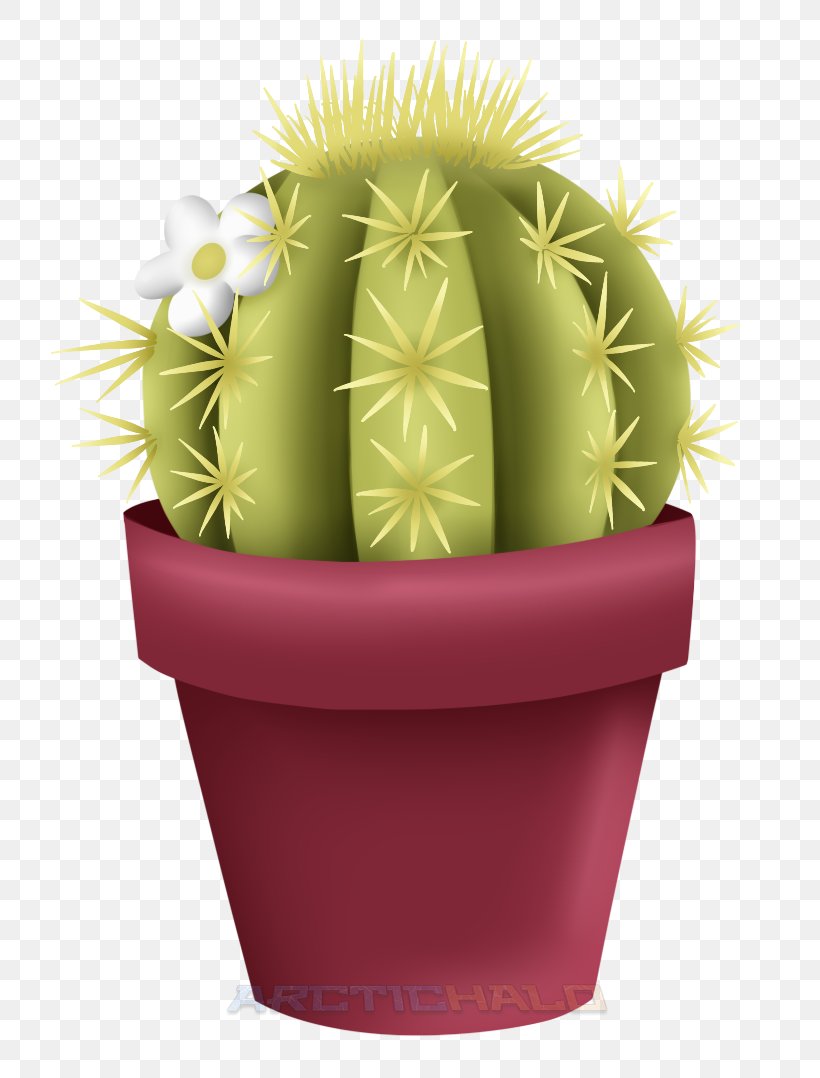 Flowerpot Strawberry Hedgehog Cactus Cactaceae, PNG, 717x1078px, Flowerpot, Cactaceae, Cactus, Caryophyllales, Flower Download Free