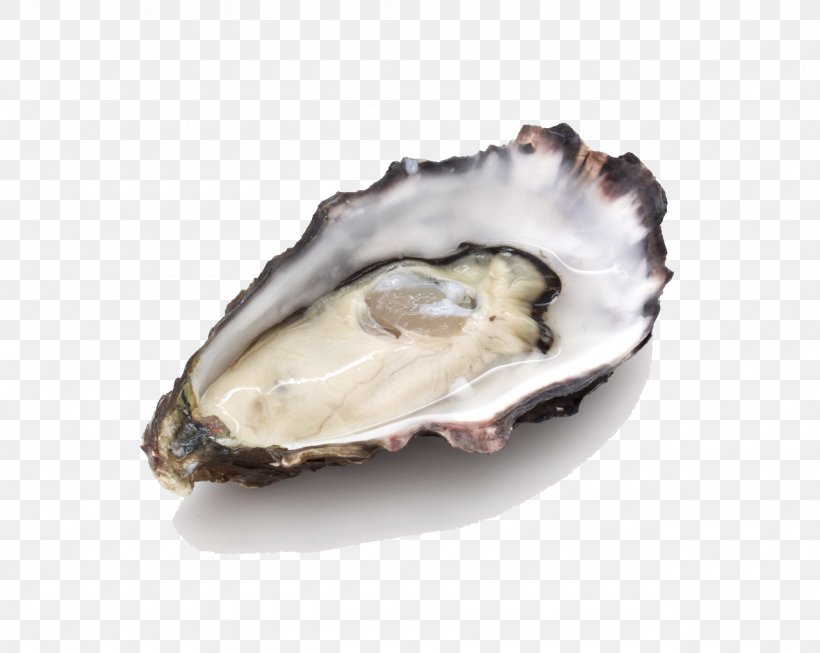 Oyster Dietary Supplement Zinc Deficiency Food, PNG, 1280x1020px, Oyster, Animal Source Foods, Clam, Clams Oysters Mussels And Scallops, Dietary Supplement Download Free