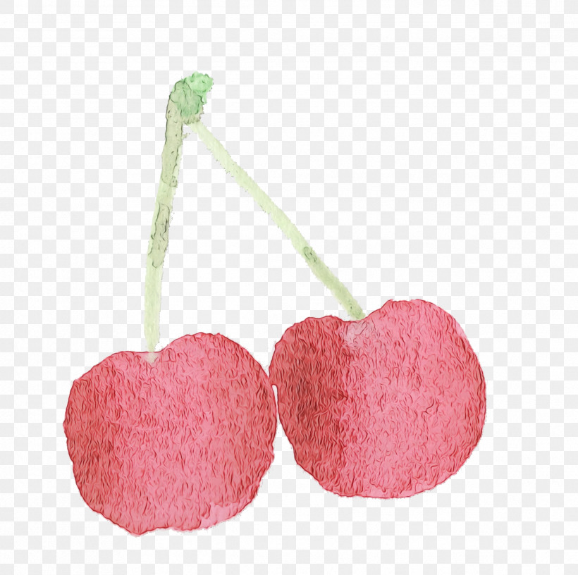 Pink Cherry Heart Plant Drupe, PNG, 2386x2376px, Watercolor Cherry, Cherry, Drupe, Food, Fruit Download Free