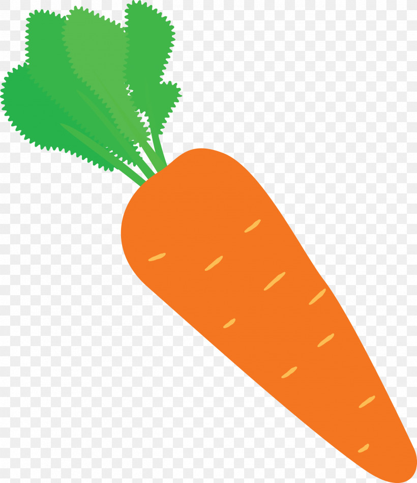 Carrot, PNG, 2591x3000px, Carrot, Agriculture, Agrii, Crop, Farm Download Free