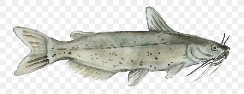 Fish Fish Bass Bony-fish Ray-finned Fish, PNG, 3042x1173px, Watercolor, Bass, Bonyfish, Catfish, Fish Download Free
