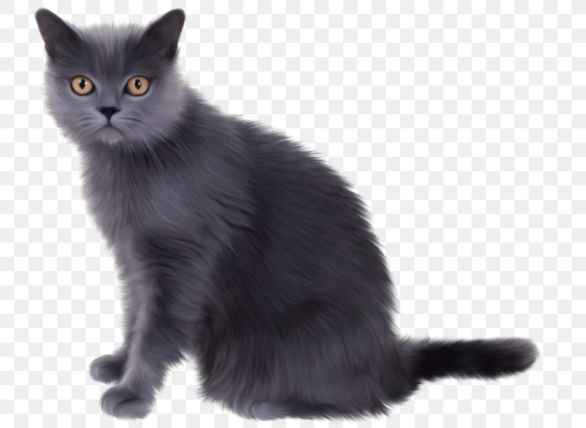 Kitten Persian Cat Clip Art, PNG, 730x600px, Kitten, Asian, Asian Semi Longhair, Black, Black Cat Download Free