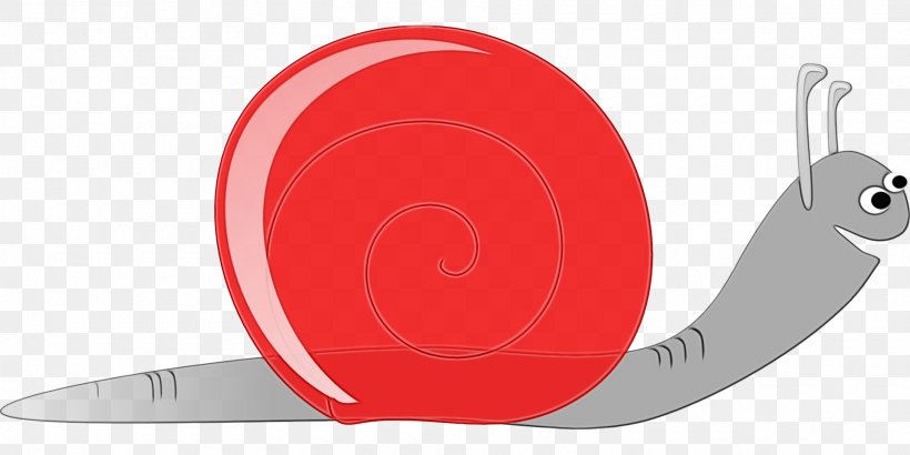 Red Circle, PNG, 1920x960px, Snail, Red, Snails And Slugs Download Free
