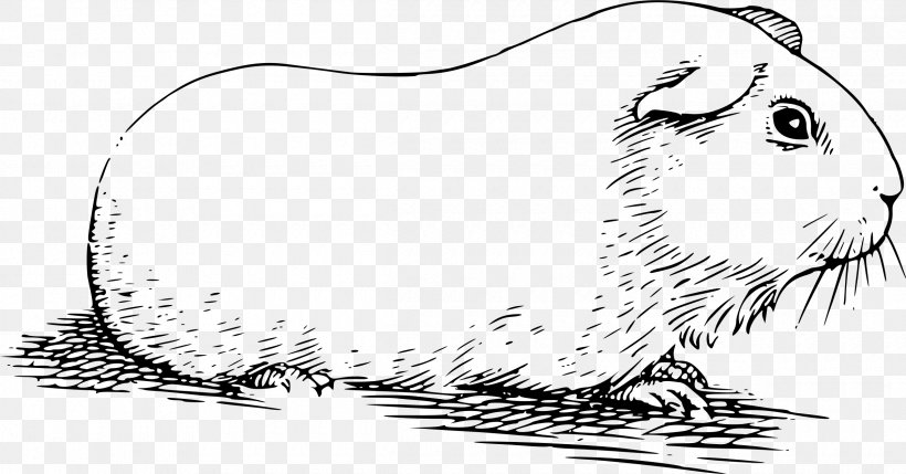 Whiskers Guinea Pig Hamster Clip Art, PNG, 2400x1256px, Whiskers, Animal Figure, Artwork, Beaver, Black Download Free