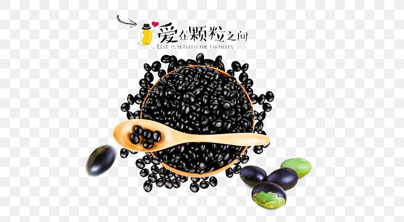 Black Turtle Bean Soybean Five Grains, PNG, 561x452px, Black Turtle Bean, Bean, Body Jewelry, Brand, Caryopsis Download Free