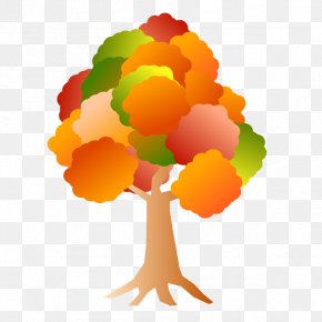 Japanese Maple Illustration - Cat Tree Shrub Clip Art PNG