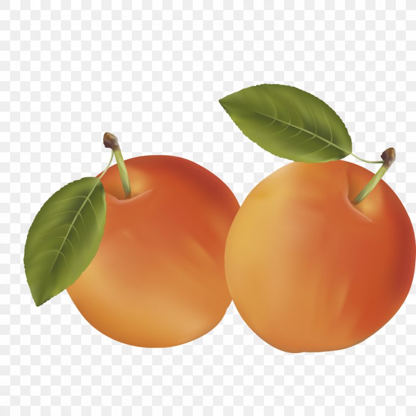 Clementine Mandarin Orange Auglis Fruit, PNG, 1000x1000px, Clementine, Apple, Apricot, Auglis, Bitter Orange Download Free