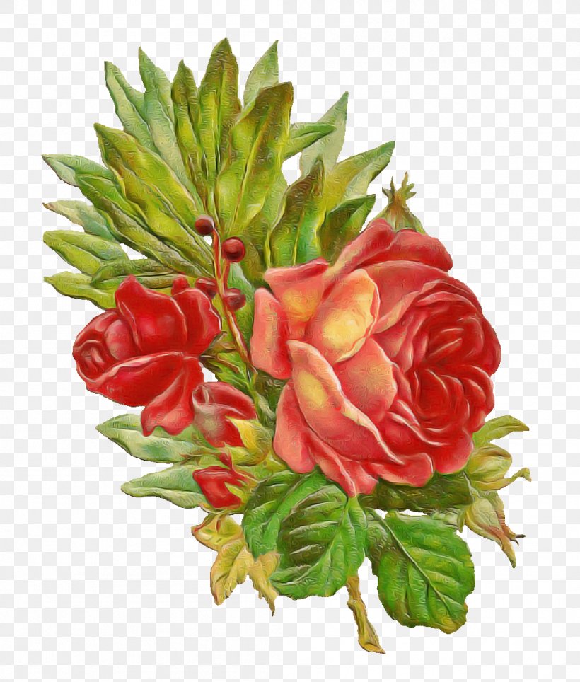 Garden Roses, PNG, 1052x1238px, Flower, Cut Flowers, Garden Roses, Petal, Plant Download Free