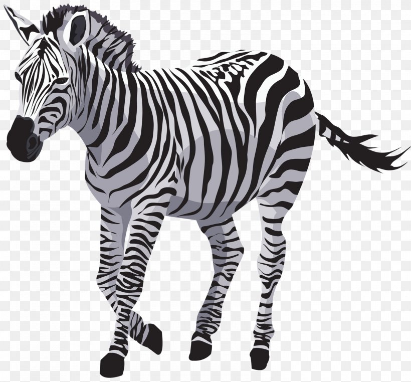 Horse Zebra Vector Graphics Drawing Zorse, PNG, 1600x1488px, Horse, Animal Figure, Big Cats, Black And White, Cartoon Download Free