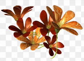 BEATRIX POTTER - Leaf Plant Flower Branching PNG
