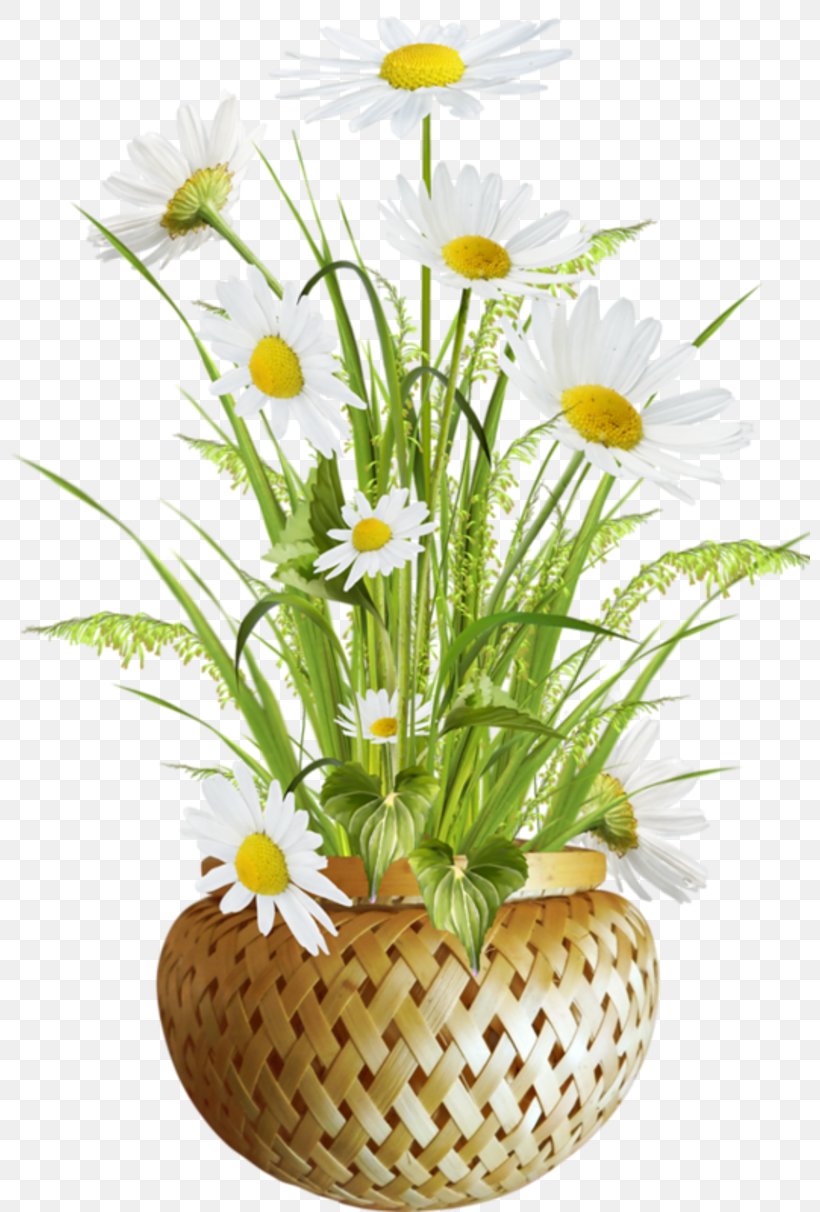 Flowerpot Image Download, PNG, 800x1212px, Flower, Animation, Chamaemelum Nobile, Chrysanths, Cut Flowers Download Free